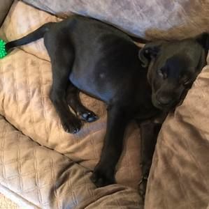 Meet your Posher, Ethan